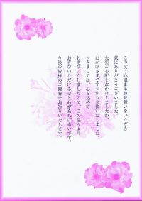 ���C�j���p���A��